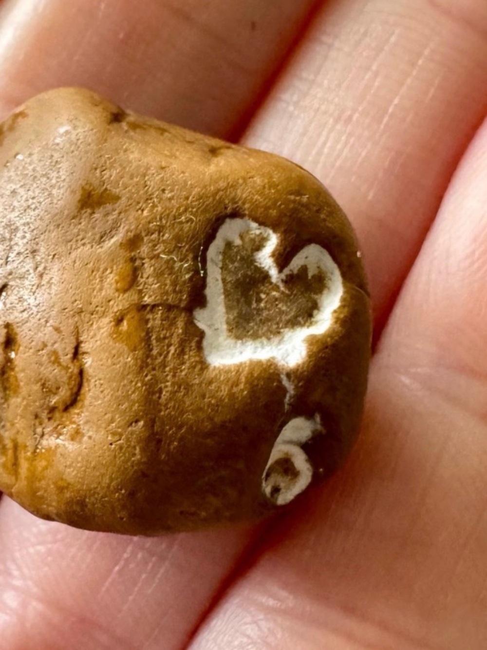 RARE Septarian Lighting Stone w/ Natural 💖Heart Shape! Lake Michigan ~approx 1”